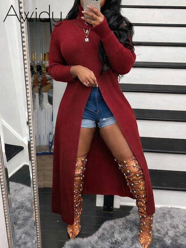Knit Turtleneck Slit Tunic Top