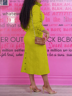 Denim Tied Shirt Dress