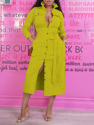 Denim Tied Shirt Dress