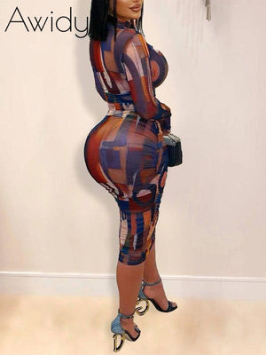 Printed Sheer Dress