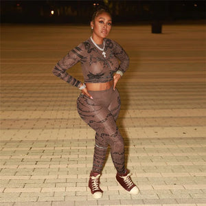 Aesthetic Snake Mesh Set