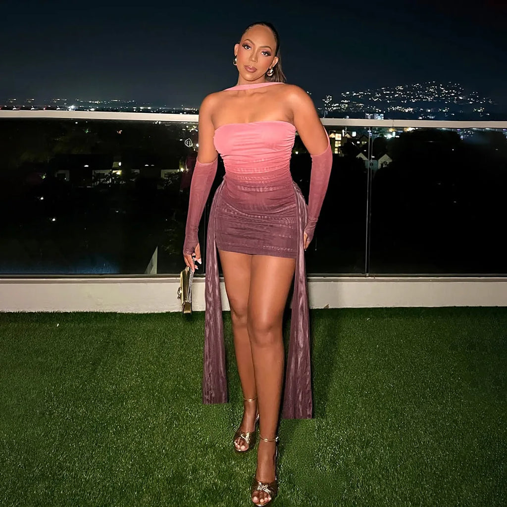 Mesh Drama Sleeve Dress