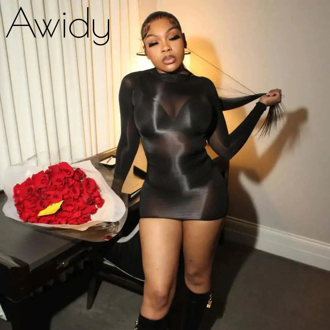 Midnight Sheer Illusion Mini Dress