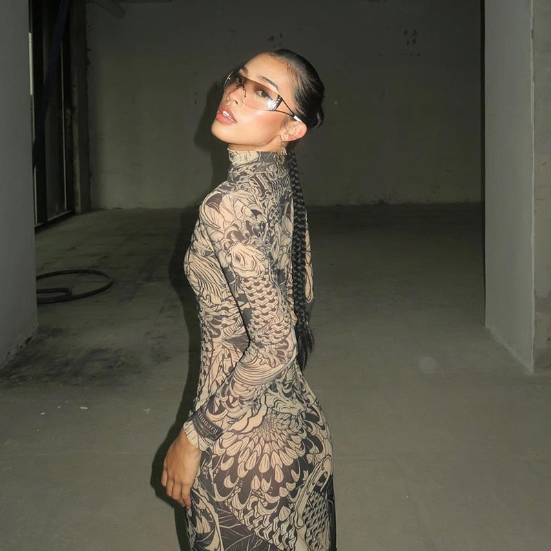 Aesthetic Mesh Autumn Dress