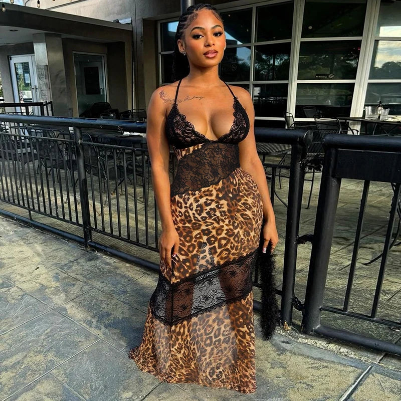Wild Lace Illusion Dress