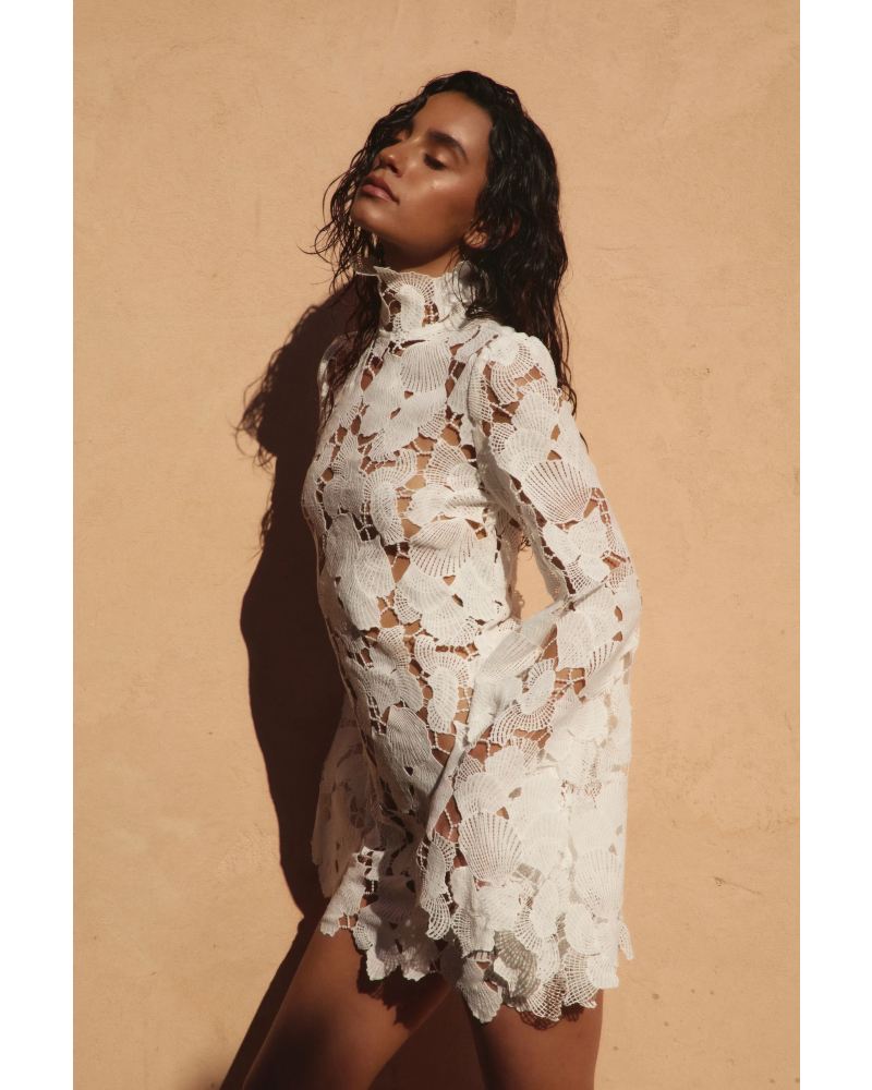 Ivory Shell Embroidery Dress