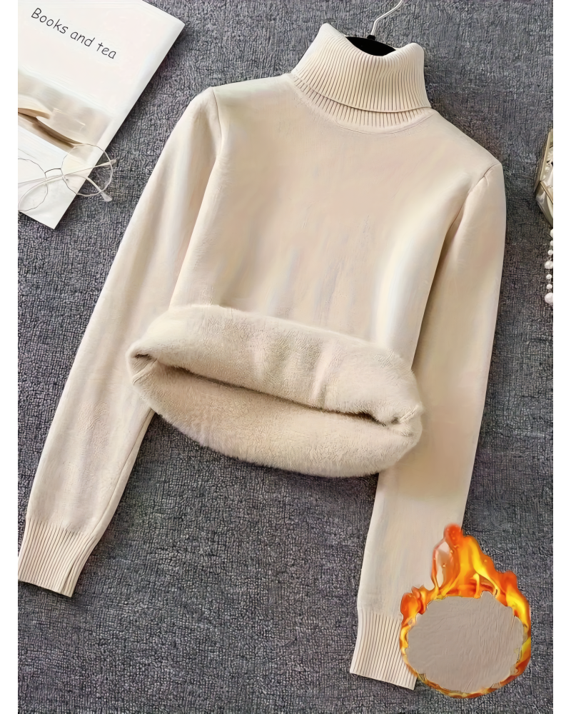 Cozy Turtle Neck Pullover Sweater