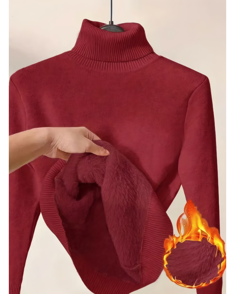 Cozy Turtle Neck Pullover Sweater