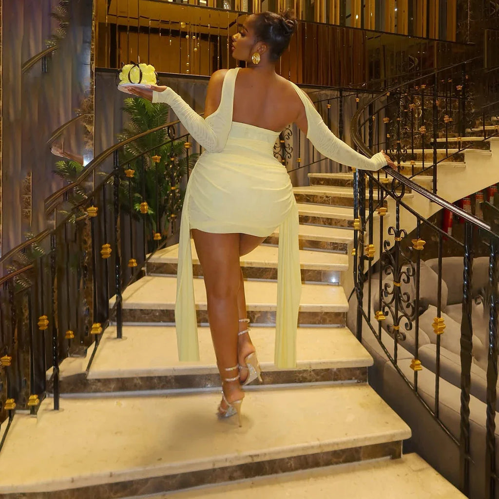 Mesh Drama Sleeve Dress