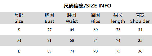 Mesh See-Through Sleeveless Backless Hollow-Out Bodycon Dress for Clubwear